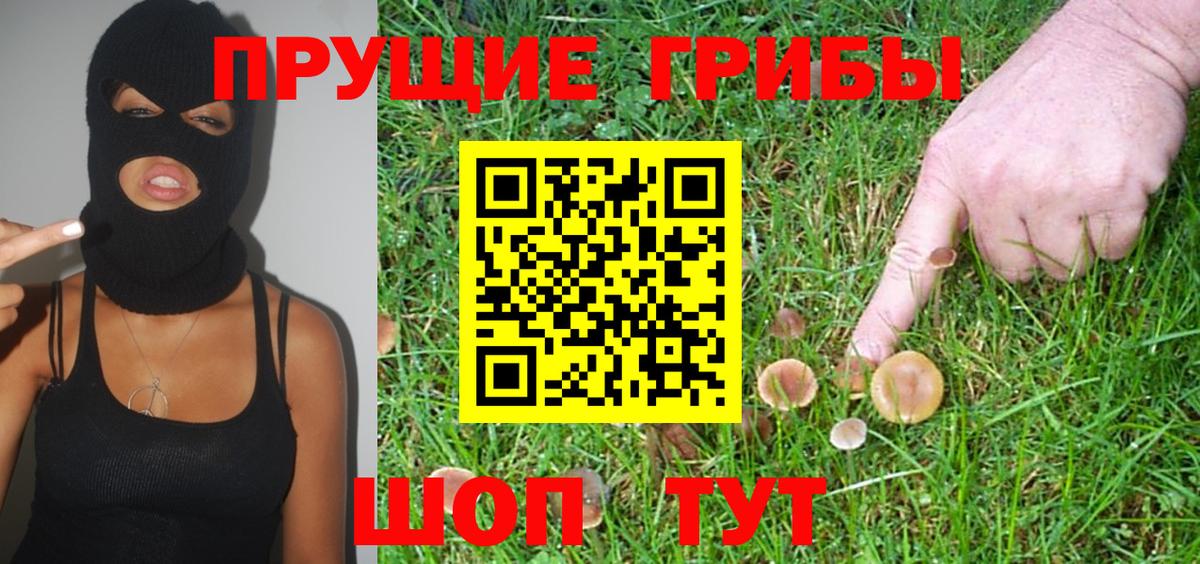 Грозный  закладки  Вход с VPN  Галлюциногенные грибы MAGIC MUSHROOMS  Псилоцибиновые грибы прущие грибы 