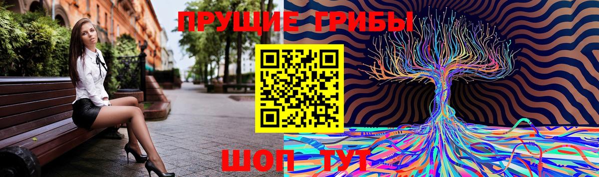 Псилоцибиновые грибы MAGIC MUSHROOMS Грозный