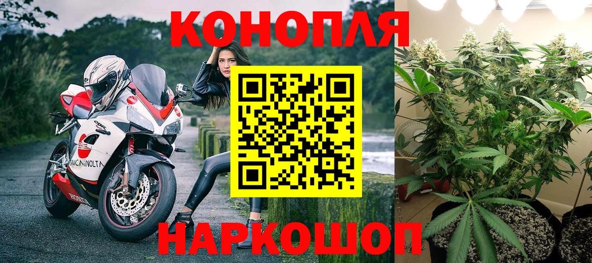 Бошки марихуана тримм  МАРИХУАНА тримм  Грозный  Каннабис White Widow  Вход с VPN 