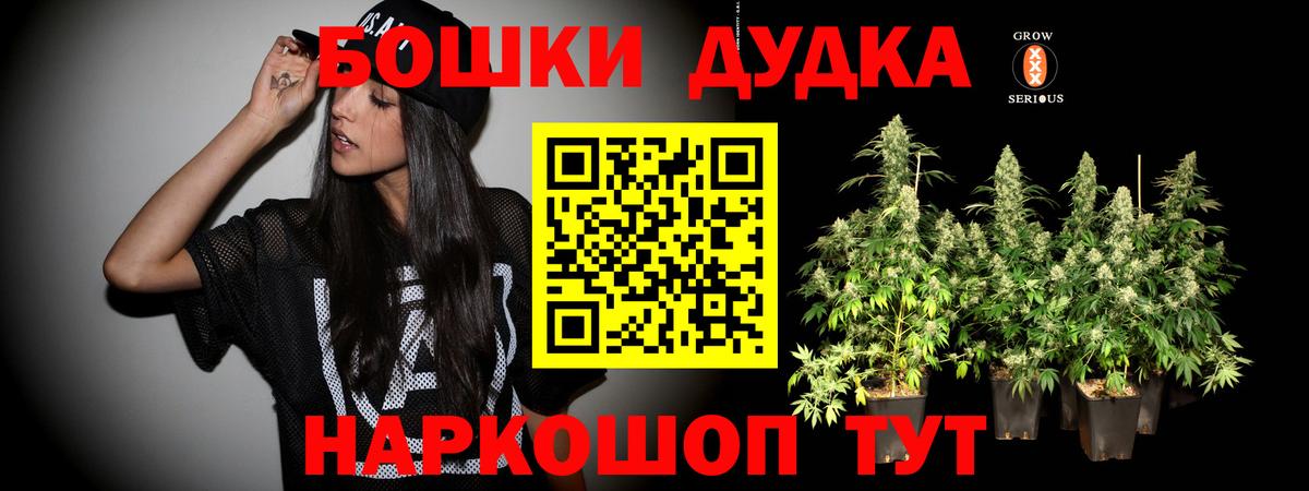 Бошки Шишки семена Грозный